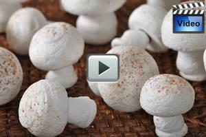 Meringue Mushrooms Recipe